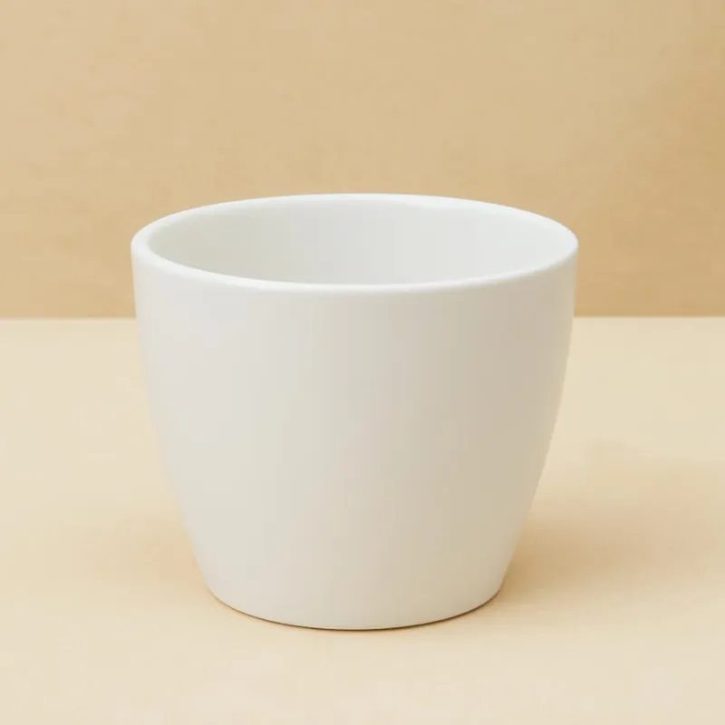 Ceramic Pot 12 inch